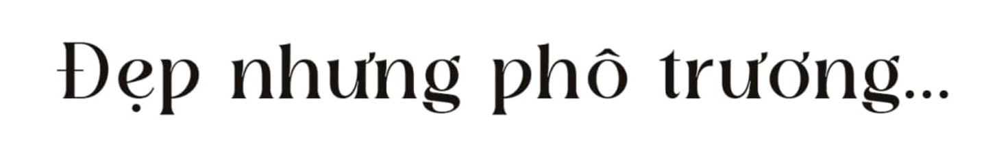 Banner Full Width